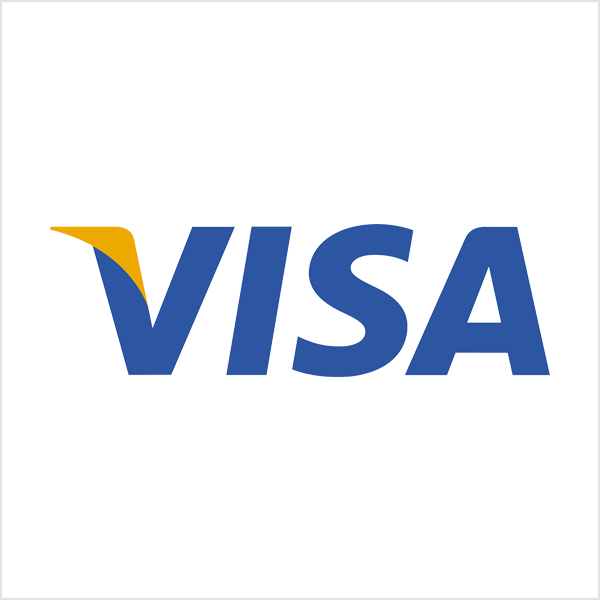 visa 文字标志logo